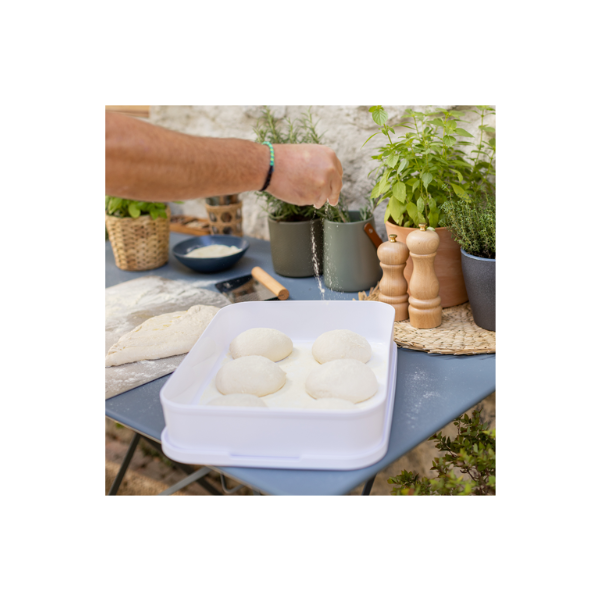 Minola Pizza Dough Proofing Tray